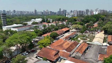 Escorpiões prosperam com crescimento das cidades e se tornam cada vez mais letais