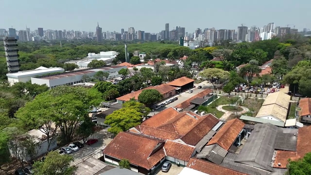 Escorpiões prosperam com crescimento das cidades e se tornam cada vez mais letais