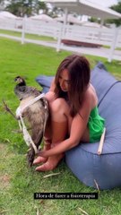 Nicole Bahls exibe fisioterapia de pavoa de estimação que estava doente; ASSISTA