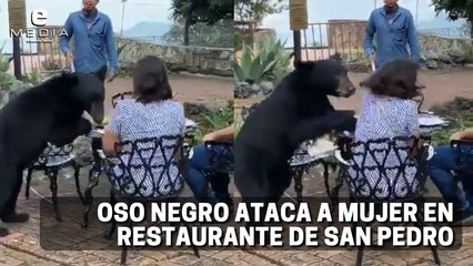 Oso negro ataca a una mujer en restaurante de Nuevo León