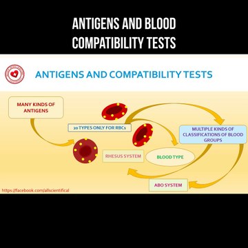 Antigens and blood compatibility tests