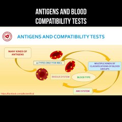 Antigens and blood compatibility tests