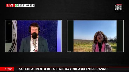 Vini biologici nel Lazio, dove fare un aperitivo alle porte della Capitale - Roma di Giorno