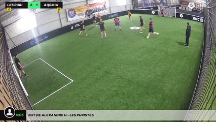 But de Alexandre H - Les Puristes