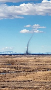 People witness a giant dust devil tornado with debris and think it was a small fire at fir