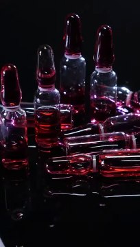 The Real Reason People Do Drugs [Scruff McGruff, War On Drugs Parody]