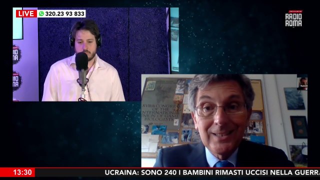 Peste suina problema enorme, in un allevamento infetto i chinghiali muoiono tutti - Roma di Giorno