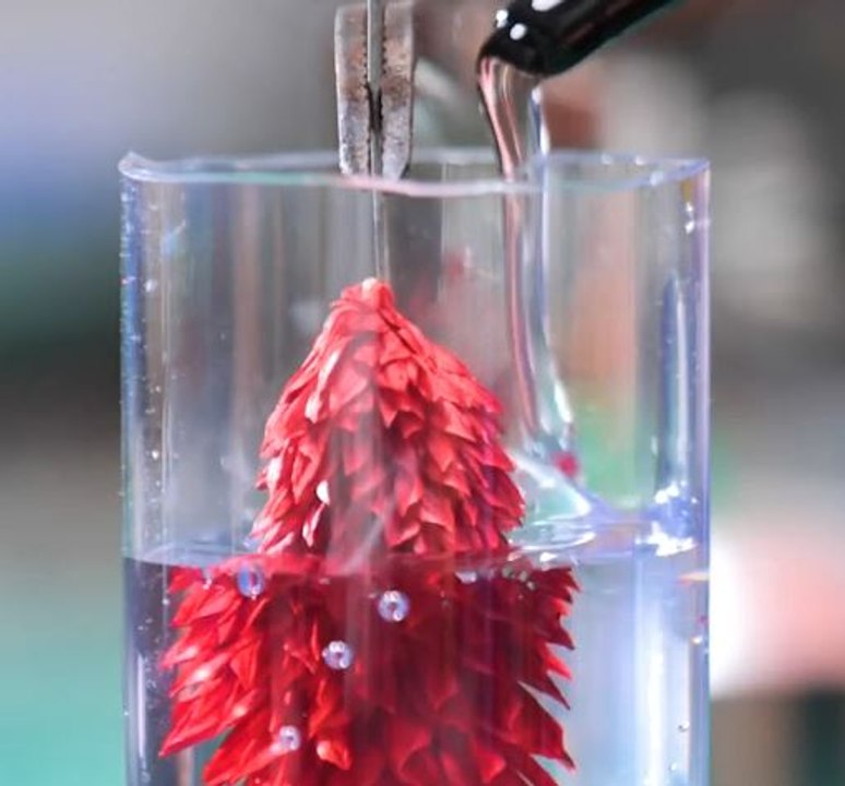 Ces jolis bijoux de bricolage vous permettront de profiter de la nature à l'état pur !