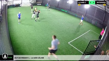 But de Freddy L - LA MIE CÂLINE