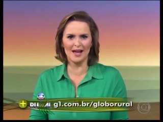 Encerramento Globo Rural Diário e Início Bom Dia São Paulo (19/11/2013) (SIMULAÇÃO)