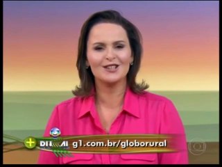 Encerramento Globo Rural Diário e Início Bom Dia São Paulo (16/10/2013) (SIMULAÇÃO)