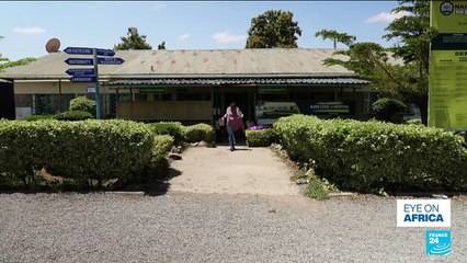 US presidential election: What's at stake for Africa?