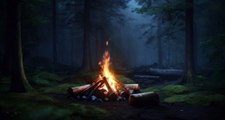 Warm atmosphere with campfire ⛺ - Relaxing music with cricket sounds to sleep