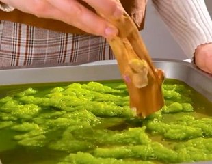 Plant-based leather accessories to add some natural touch to your look!