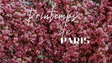 🎶 PRINTEMPS DE PARIS - dream & imagination - HUSSEIN ELMASRY