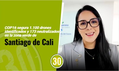 COP16 segura 1.100 drones identificados y 173 neutralizados en la zona verde de Santiago de Cali