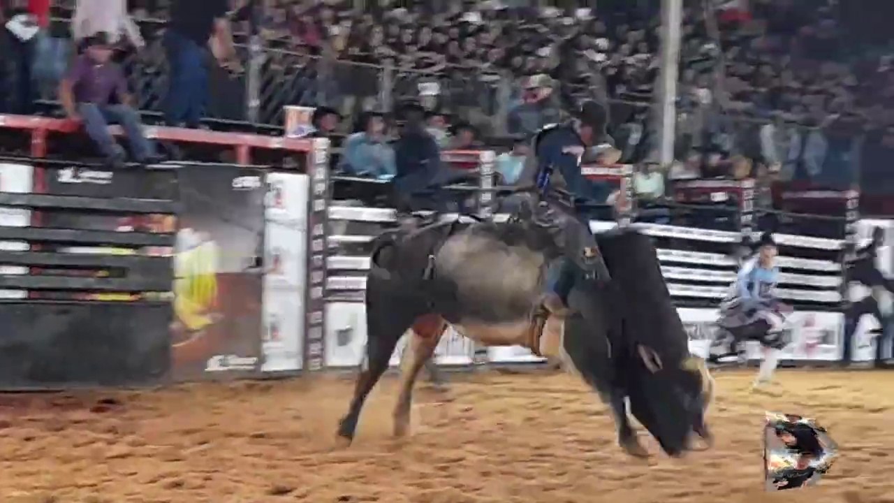 (P11) EXPO ARTUR 2022 - FINAL MONTARIA EM TOUROS 22_10_22