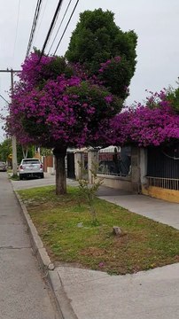 Houses in Santiago, Chile: P2