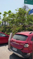 Tour of A Park in Santiago, Chile 