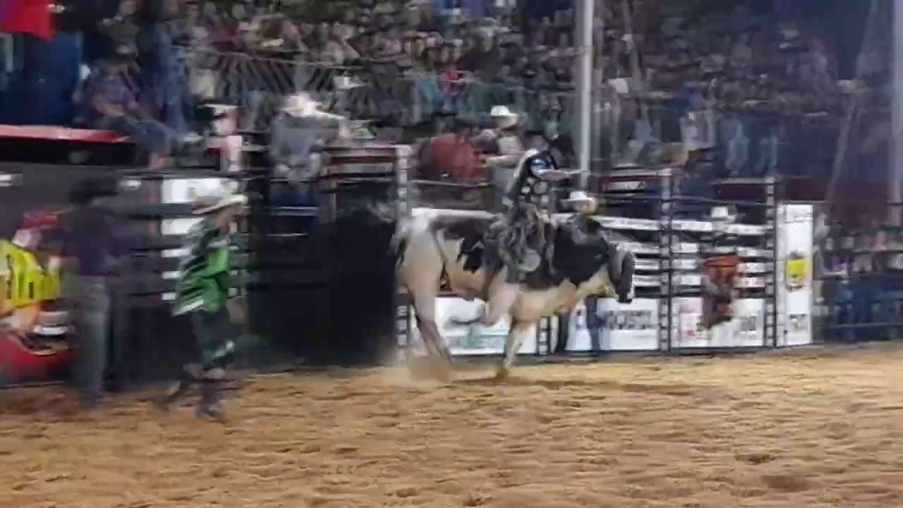 (P5) EXPO ARTUR 2022 - FINAL MONTARIA EM TOUROS 22_10_22