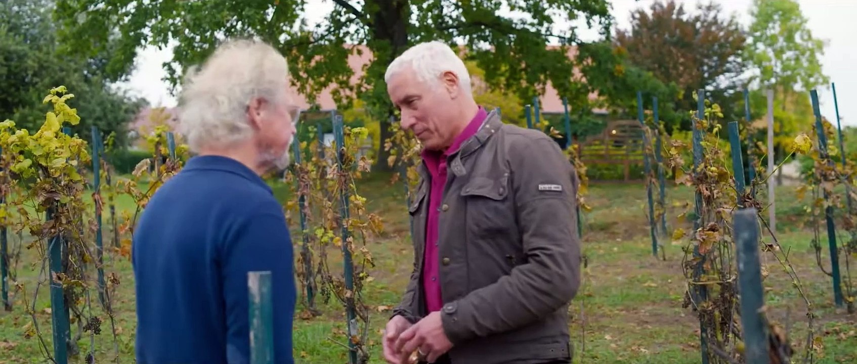 Überleben in Brandenburg | movie | 2024 | Official Trailer