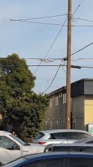 What is going on at el Segundo pd helicopter circling around