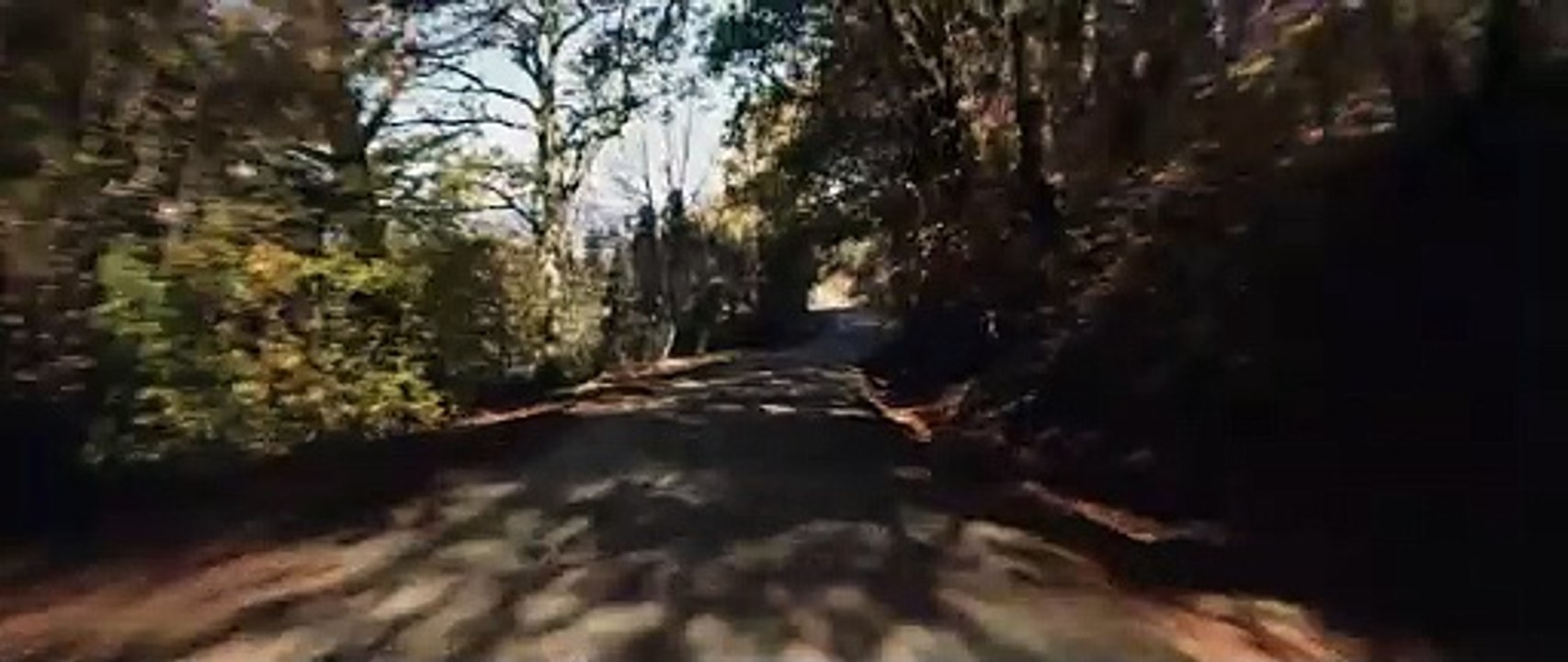 Der Kolibri - Chronik einer Liebe | movie | 2022 | Official Trailer