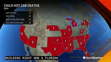 Florida child becomes the 37th child to die in a hot car in 2024