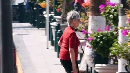 Extranjeros residentes en Chapala se reúnen para observar el proceso electoral en Estados Unidos
