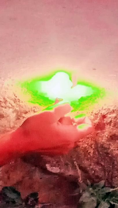 Firecrackers #fire#crackers#patakhe