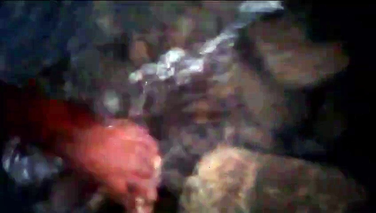 River water sound | My village river | Rural Life | Relaxing river sound