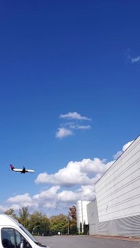 *Studying Cultures Outside Of The One You Were Raised With* 11/05/2024