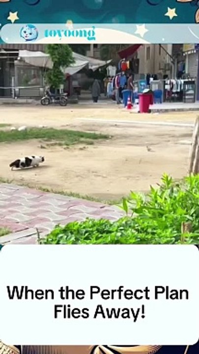 When the Perfect Plan Flies Away! #viral