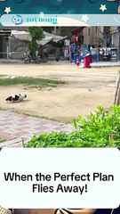 When the Perfect Plan Flies Away! #viral