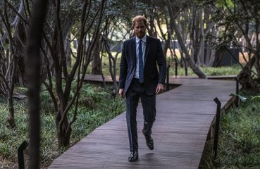 Prince Harry will ‘probably’ be asked not to get involved in politics after Donald Trump’s re-election