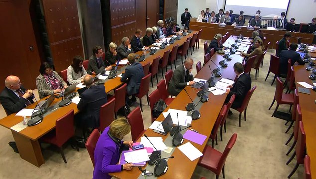 Commission des affaires sociales : Mme Astrid Panosyan-Bouvet, ministre du travail et de l’emploi ; Mission Travail, emploi et administration des ministères sociaux - Mercredi 6 novembre 2024