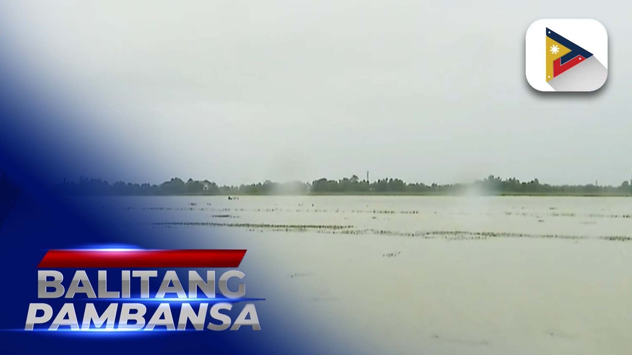P541-M halaga ng libreng binhi ng palay at gulay, mga gamot para sa hayop, at iba pang farm input, ipinamahagi ng D.A.