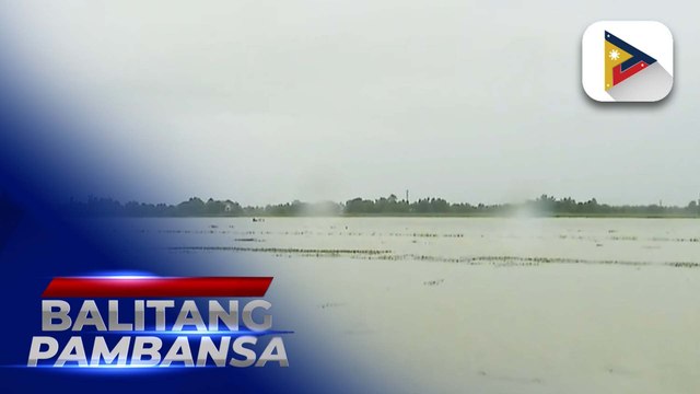 P541-M halaga ng libreng binhi ng palay at gulay, mga gamot para sa hayop, at iba pang farm input, ipinamahagi ng D.A.