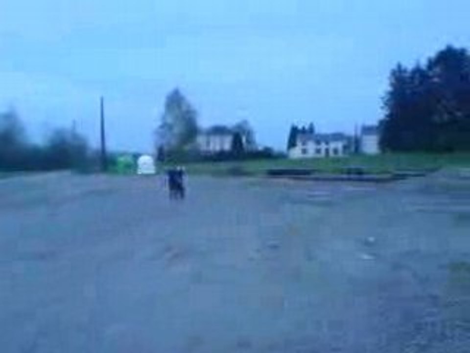 Flandria stunt