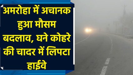 Amroha में अचानक हुआ Weather बदलाव, घने fog की चादर मे लिपटा highway