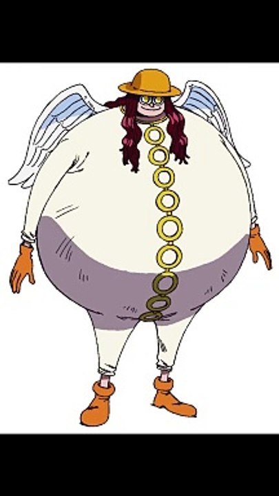 One Piece Satori