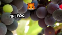 The Fox & The Grapes Moral