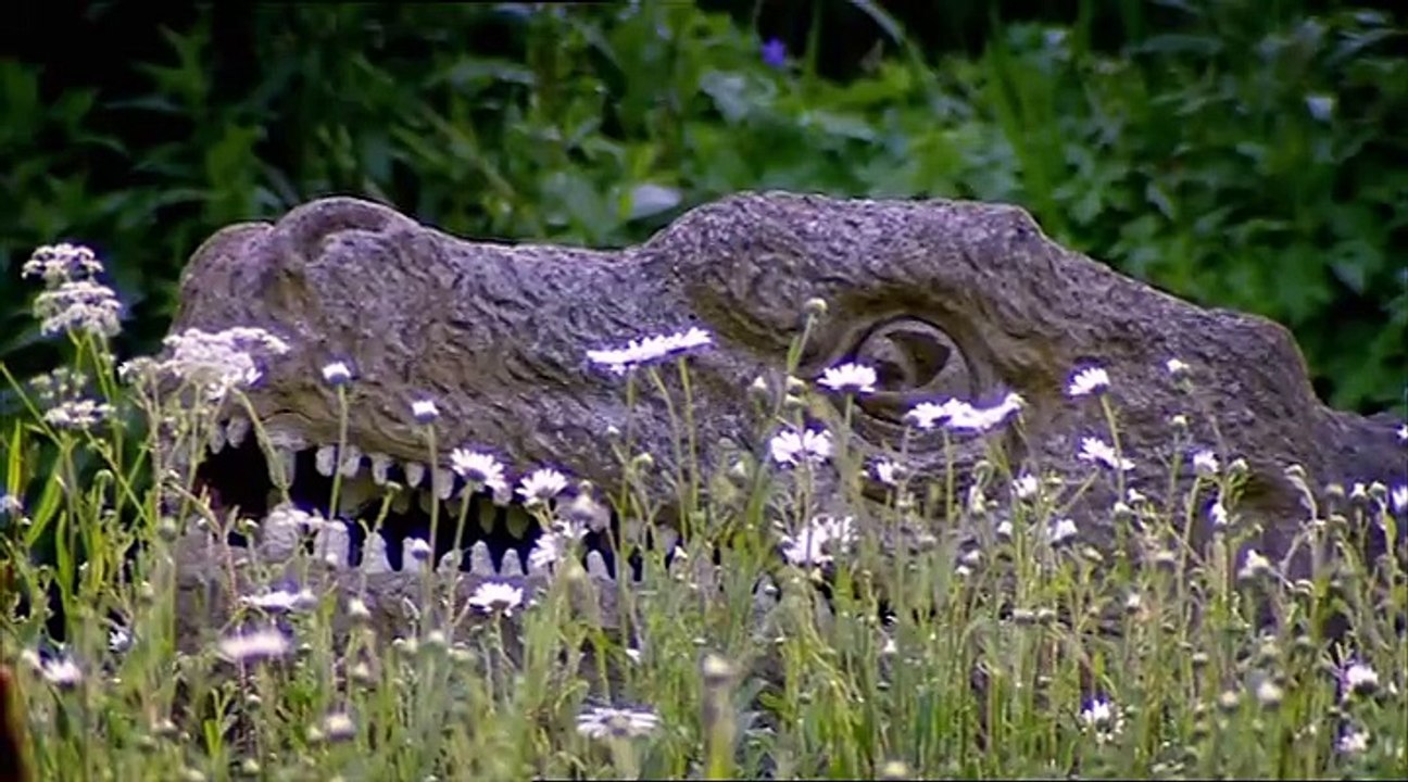 Planet Dinosaur S04