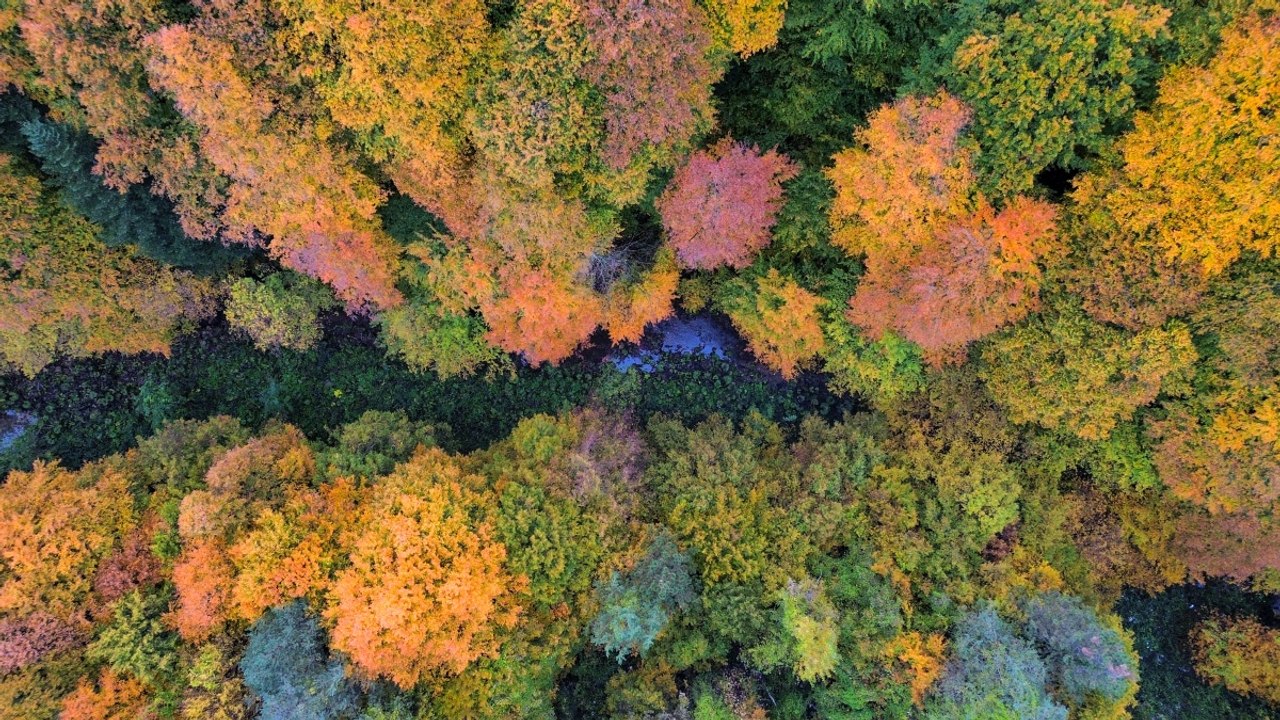 Bursa’nın İnegöl ilçesi sonbahar renkleriyle büyülüyor