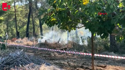 Antalya'da maket uçak düştü, yangın çıktı