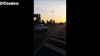 Pescara, un cavallo sull'Asse attrezzato