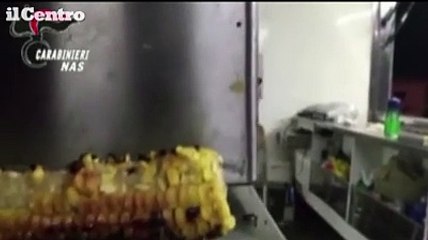 Blitz dei Nas in chioschi, agriturismi e lidi: sigilli e multe in Abruzzo