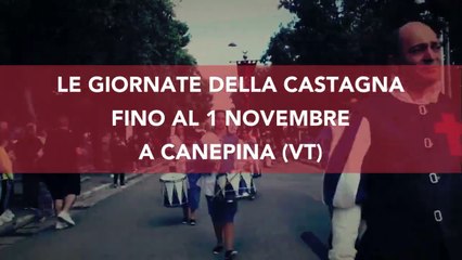 Cosa fare a Roma e nel Lazio a ottobre 2023: feste e sagre in programma