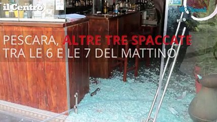 Fish & Drink, Loco Dog, Papille: tre nuove spaccate a Pescara