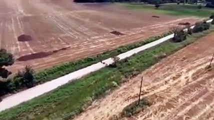 Magliano, campo devastato dai cinghiali